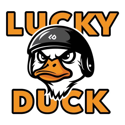 Электровелосипеды Lucky Duck — купить у производителя по выгодной цене