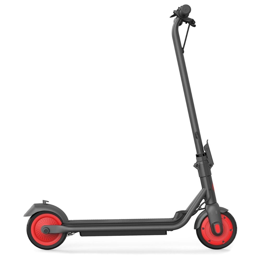 Детский электросамокат Segway Ninebot ZING C20