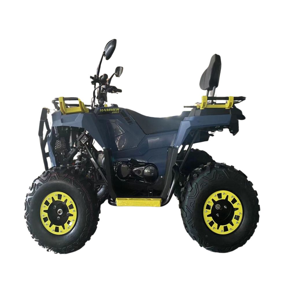 Купить Mikilon HAMMER 3 TRACKER 200cc