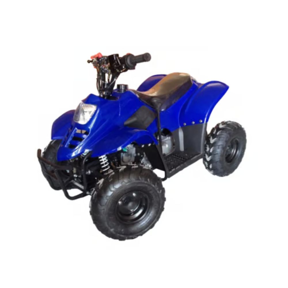 Купить бензиновый квадроцикл Racer Raptor 110cc