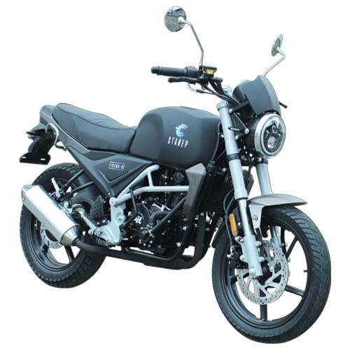 motorcycle-zid-300-1-stayer