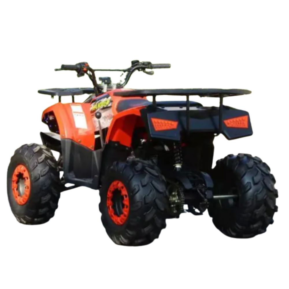 Квадроцикл WELS THUNDER AX 125 PRO (мотокомплект)