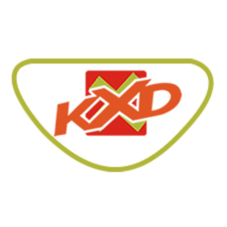 Мотоциклы KXD Motors – высокие технологии, надежность и динамика для экстремальной езды