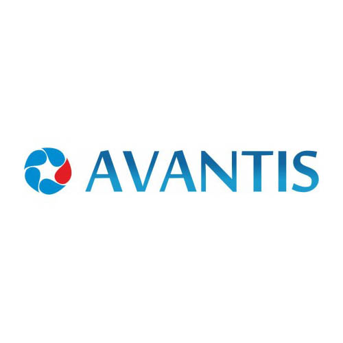 Avantis — российский производитель мототехники с 2009 года | Мотоциклы и квадроциклы для любителей и спортсменов