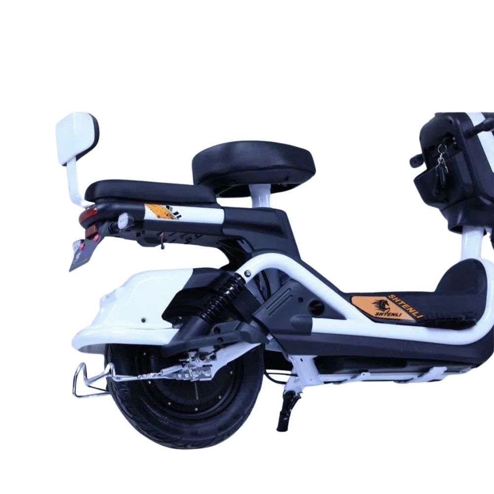 Электроскутер Shtenli Model 21 Performance (аккумулятор 4шт 20Ач12В)
