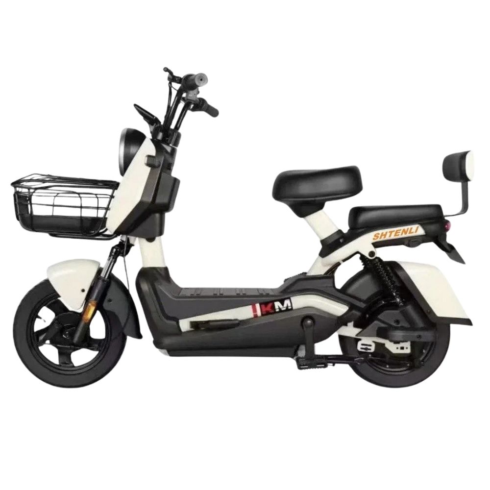 Электроскутер Shtenli Model 21 Performance (аккумулятор 4шт 20Ач12В)