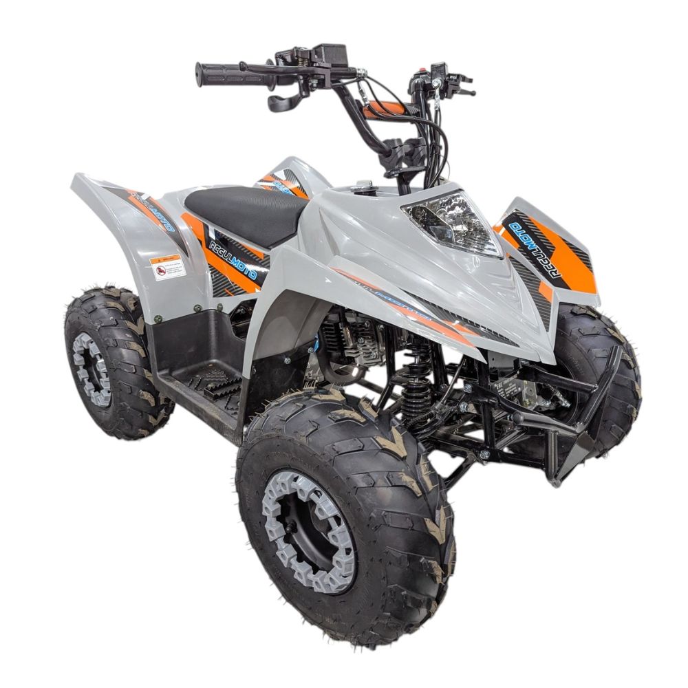 Купить квадроцикл Regulmoto SK11 110сс