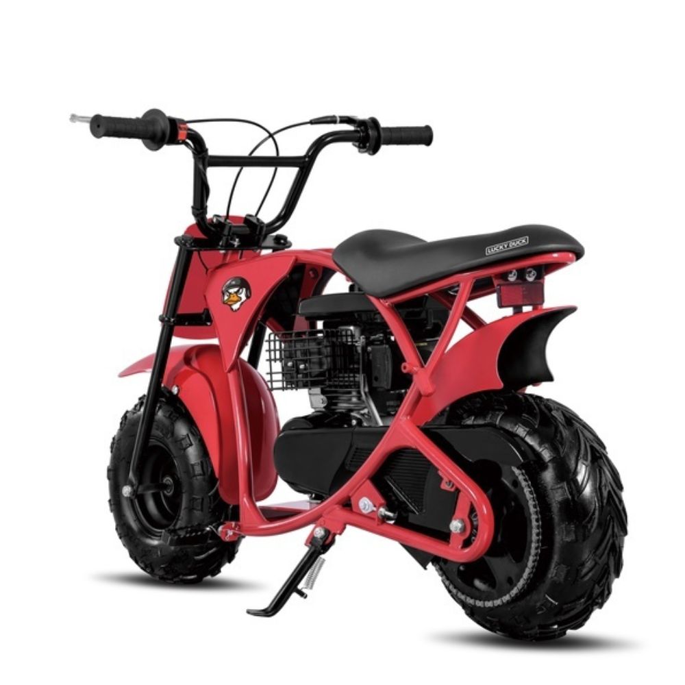 Минибайк Ranger Lucky Duck RB100