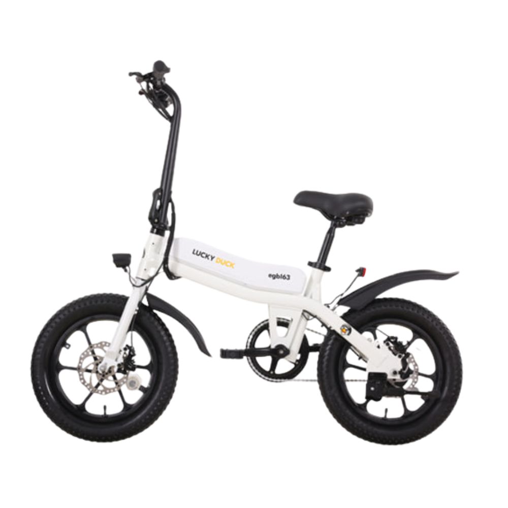 Купить электровелосипед городской Lucky Duck EGB163 Электровелосипед городской Lucky Duck EGB163