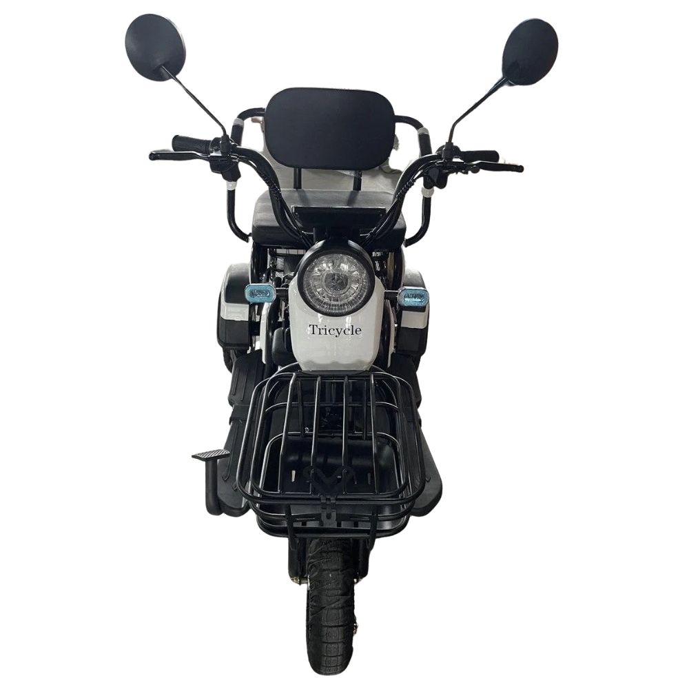 Электрический трицикл SHTENLI Model 31 li-ion 20Ah48V