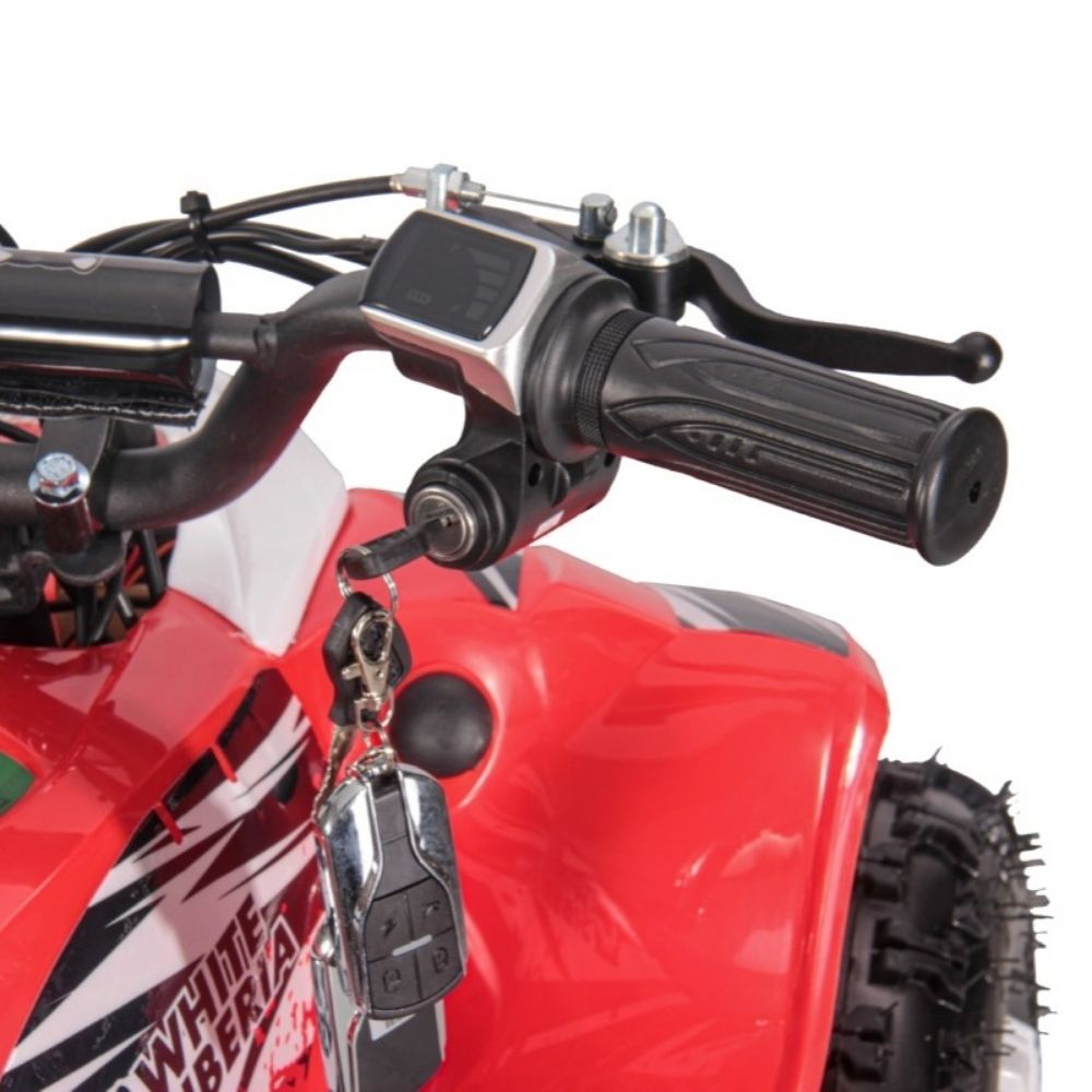 Детский электроквадроцикл White Siberia SNEG LETO R