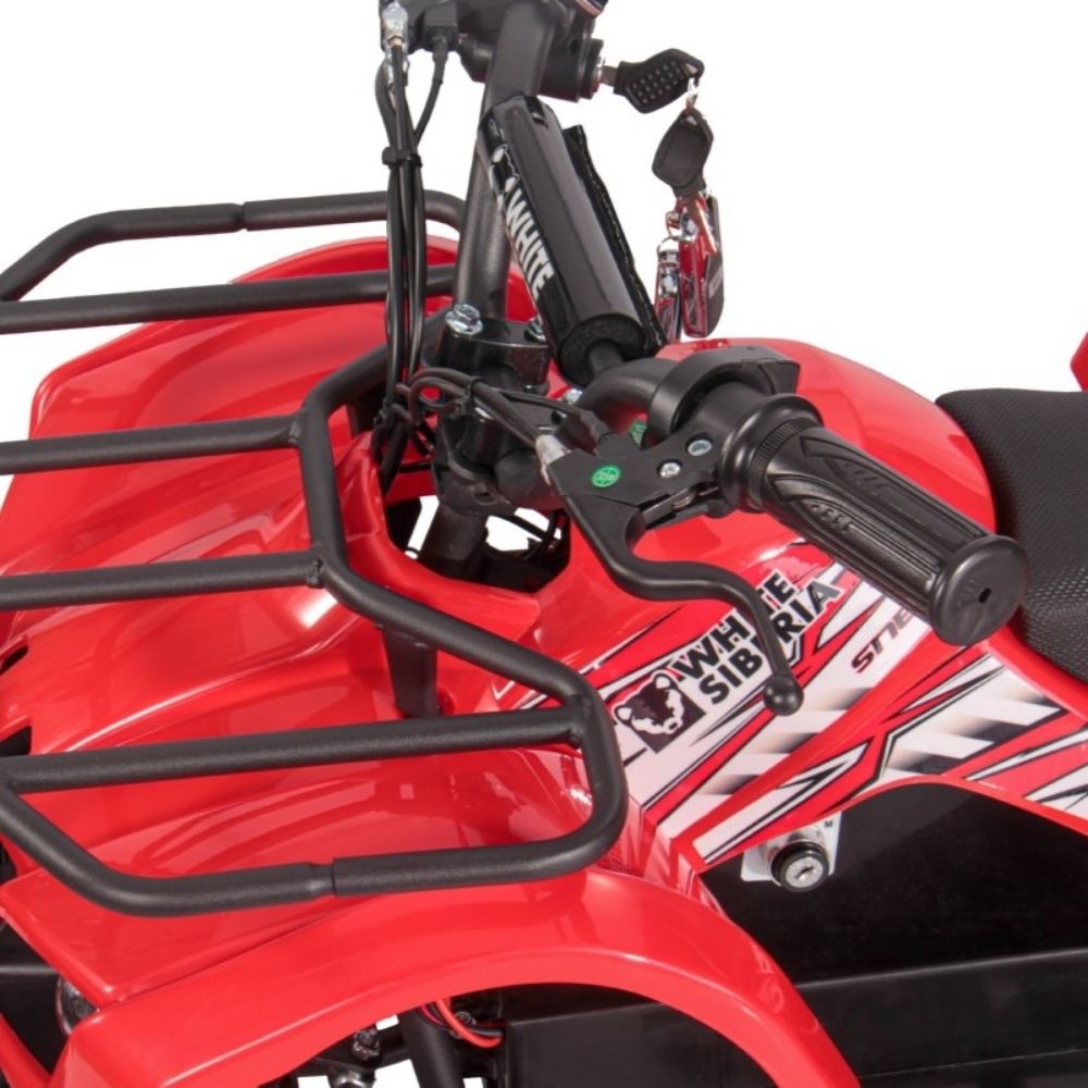 Детский электроквадроцикл White Siberia SNEG MINI