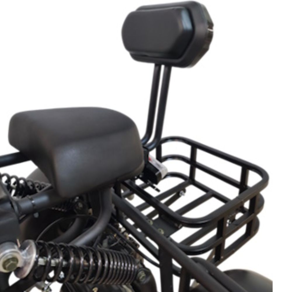 Электротрицикл CityCoco SMD S701 Minitrike New