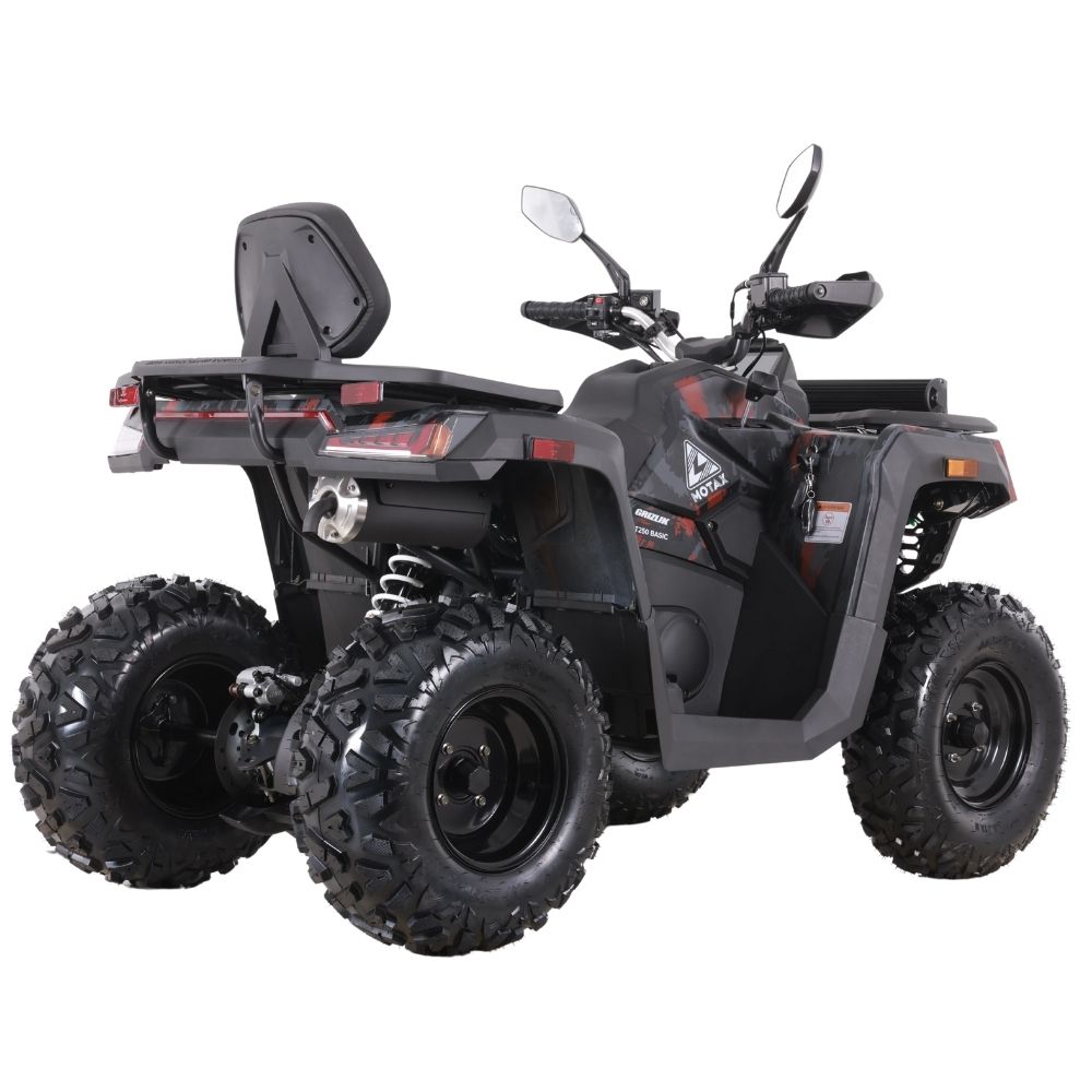 Квадроцикл MOTAX GRIZLIK T250 BASIC