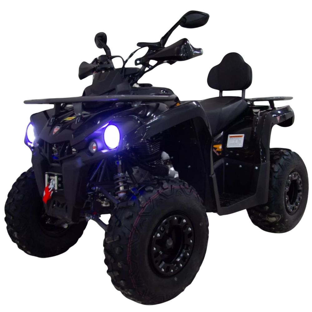 Квадроцикл бензиновый MOTAX GRIZLIK 200 Ultra