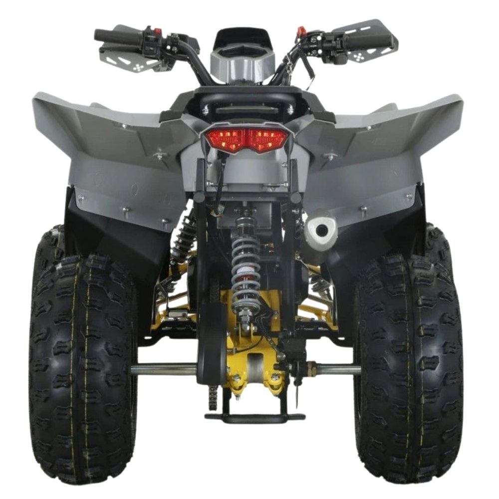 Квадроцикл бензиновый MOTAX GRIZLIK D125 RAPTOR LUX (3+1)