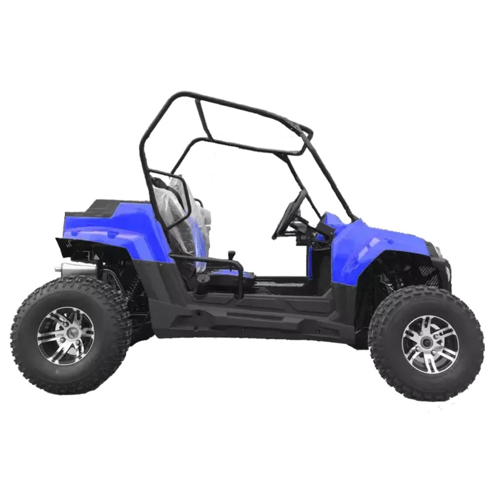 Багги HOOLEOX 300