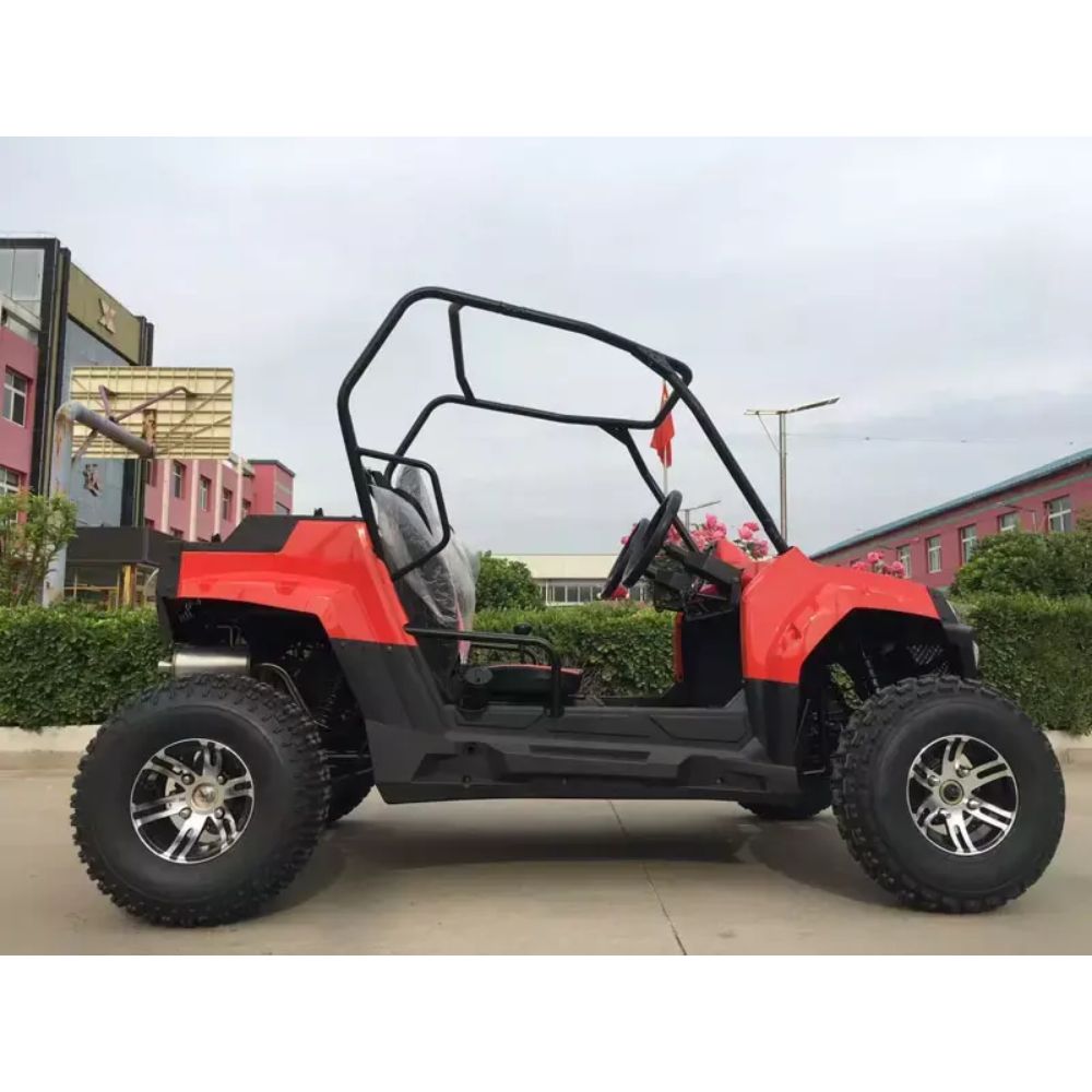 Багги HOOLEOX 300