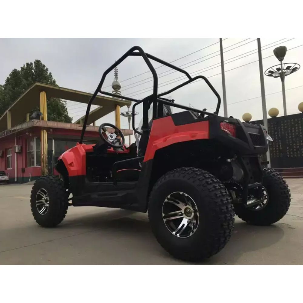 Багги HOOLEOX 300