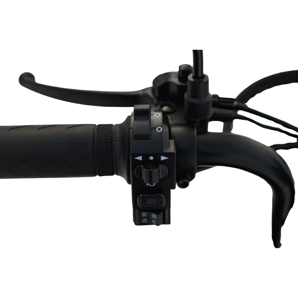 Электротрицикл AVM DELTA TRIKE