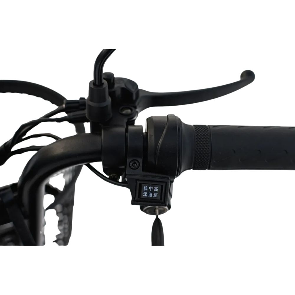 Электротрицикл AVM DELTA TRIKE