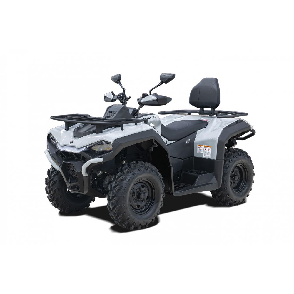 Купить снегоболотоход квадроцикл Hisun Guardian 400 Long