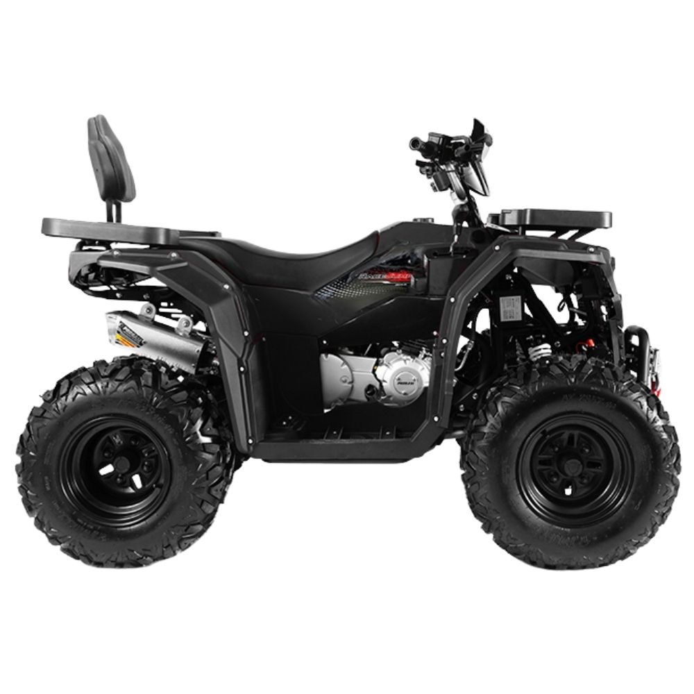 Квадроцикл PROGASI Race Jumper 200 Max Power (мотокомплект)