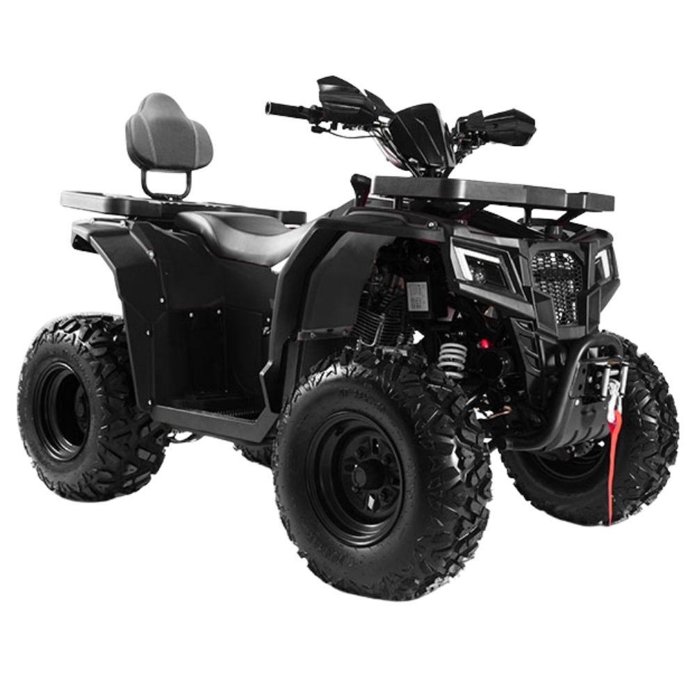 Квадроцикл PROGASI Race Jumper 200 Max Power (мотокомплект)