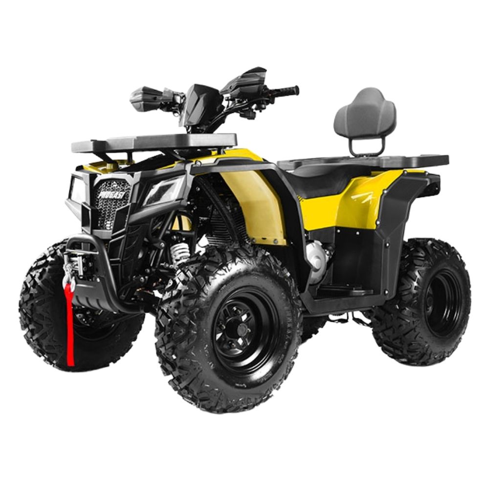 Квадроцикл PROGASI Race Jumper 200 SE (мотокомплект)