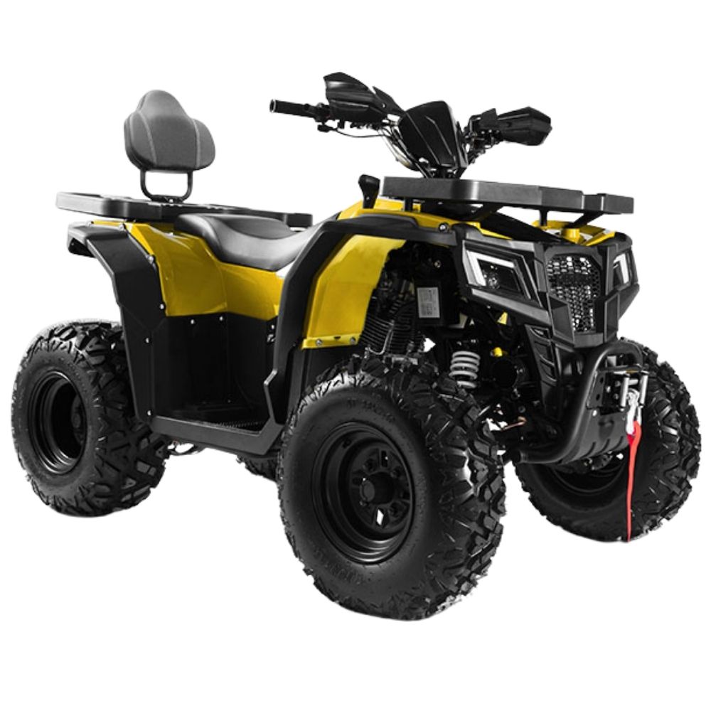 Квадроцикл PROGASI Race Jumper 200 SE (мотокомплект)