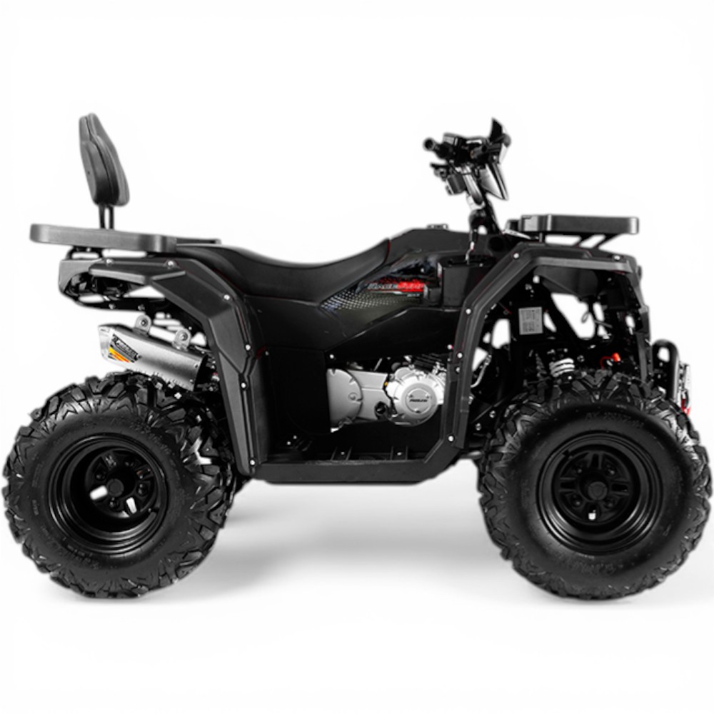 Квадроцикл PROGASI Race Jumper 200