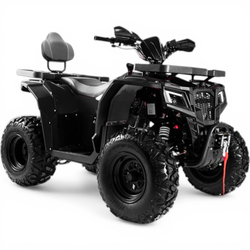 Квадроцикл PROGASI Race Jumper 200