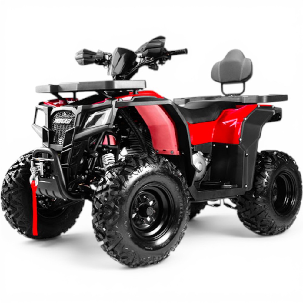 Квадроцикл PROGASI Race Jumper 200