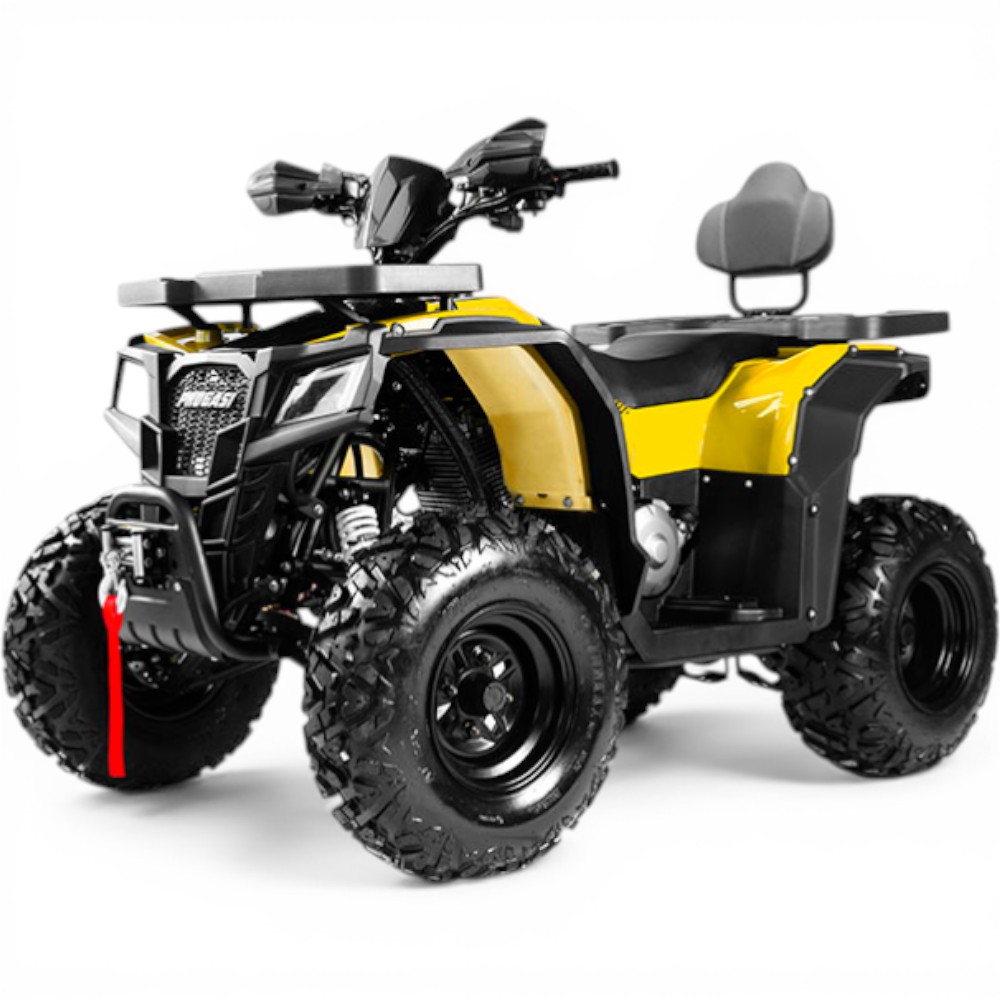 Квадроцикл PROGASI Race Jumper 200