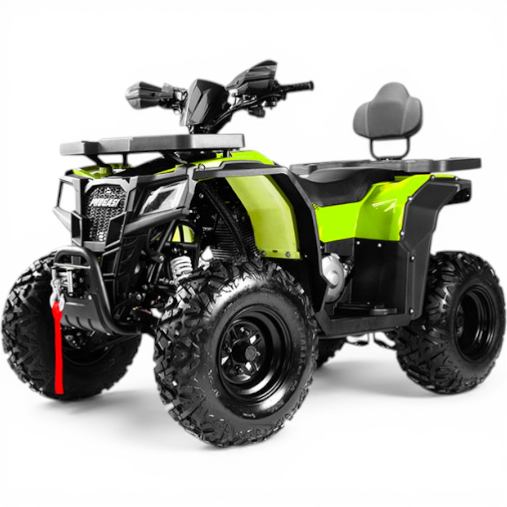 Квадроцикл PROGASI Race Jumper 200