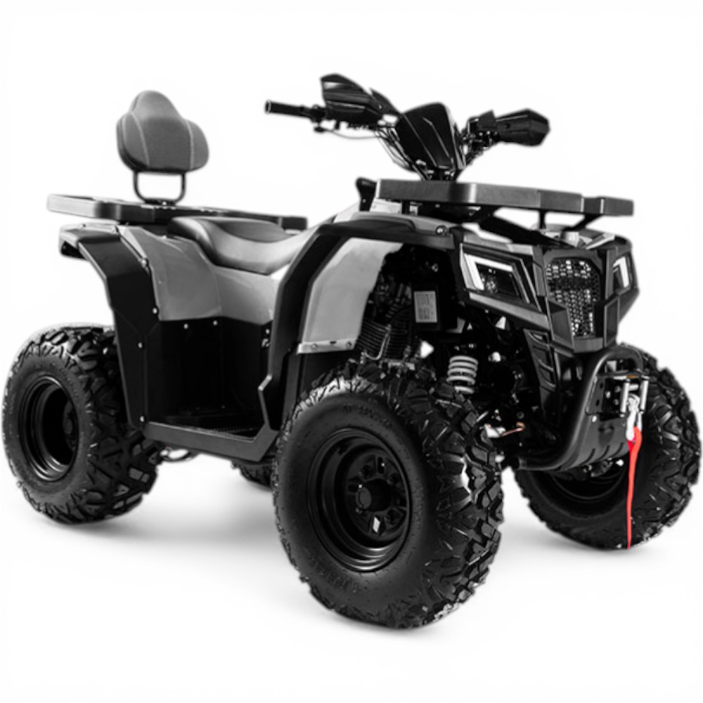 Квадроцикл PROGASI Race Jumper 200