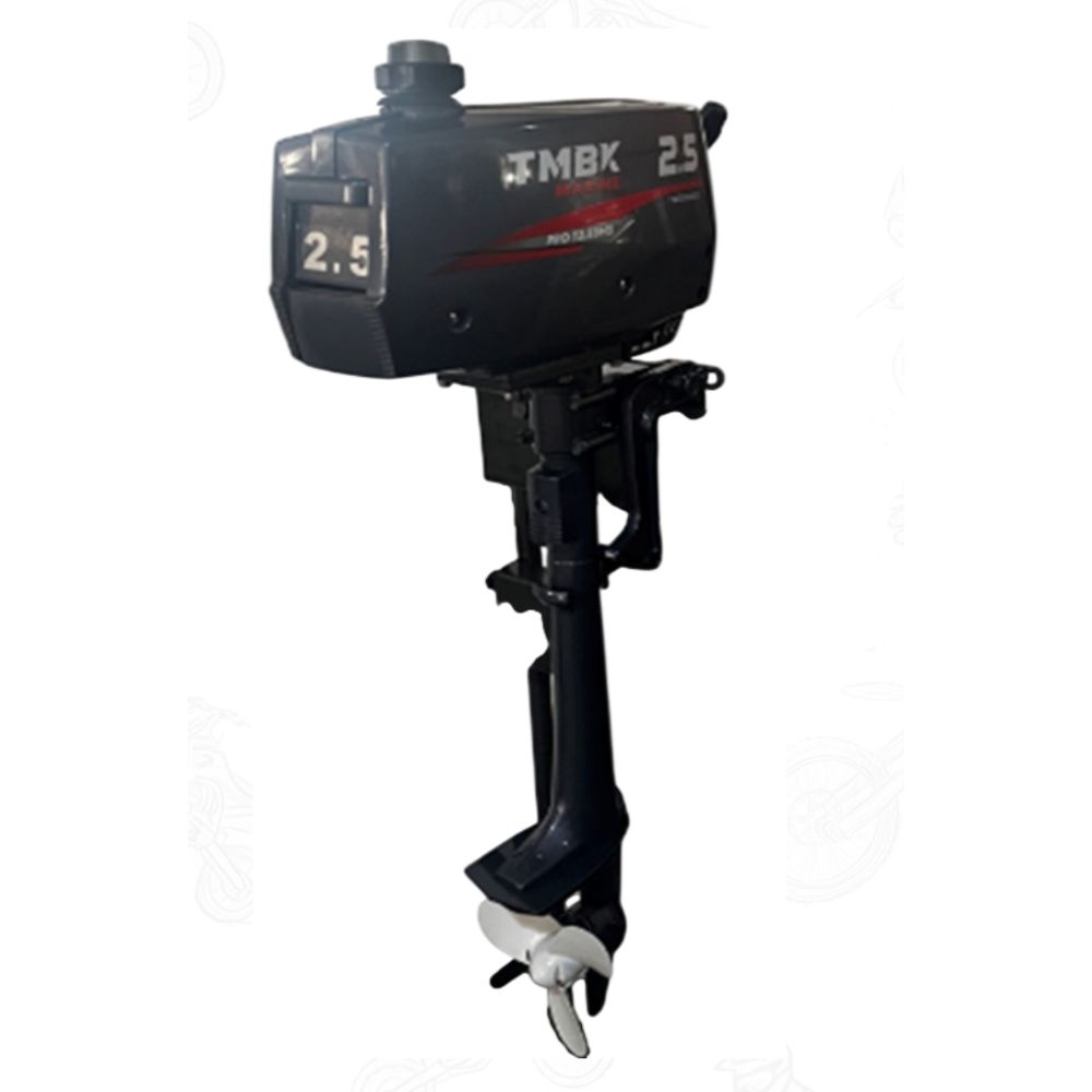 Двухтактный лодочный мотор TMBK Marine Pro 2T T2,5BMS
