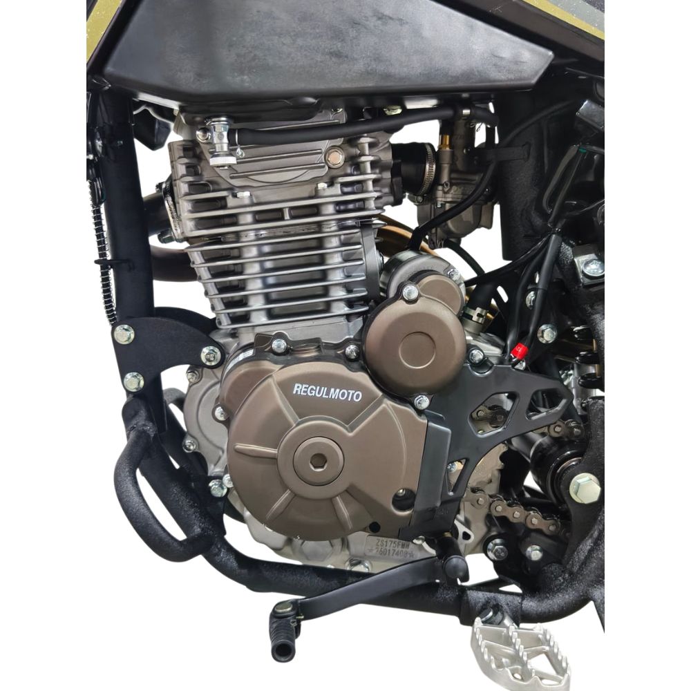 Мотоцикл Regulmoto ZZ PR 300 6 передач с ПТС