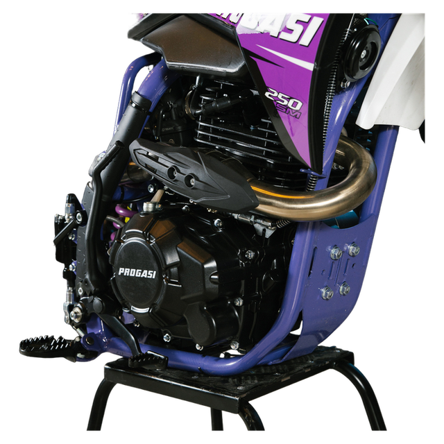 Мотоцикл PROGASI SUPER MAX 250SM Purple 17/17 с ПТС