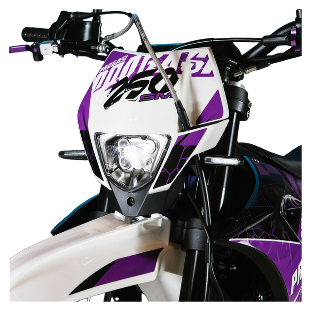 Мотоцикл PROGASI SUPER MAX 250SM Purple 17/17 с ПТС