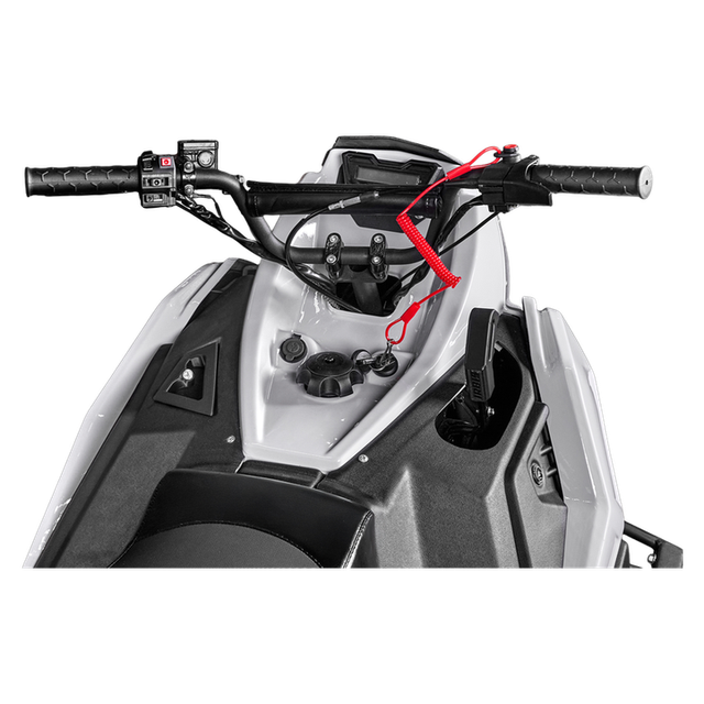 Снегоход туристический IRBIS SF300 PRO EFI