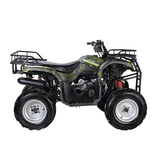 Квадроцикл WELS ATV Purga 170 (мотокомплект)