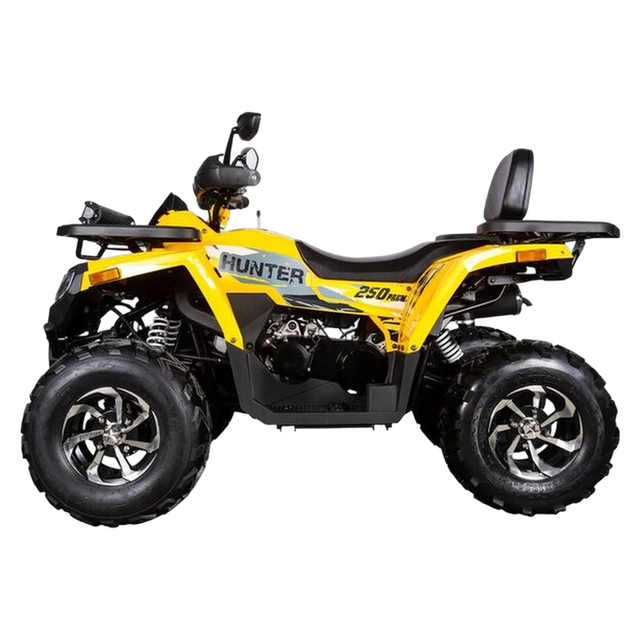 Комплект запчастей Avantis H250 BIG NEW Premium (баланс. вал) 
