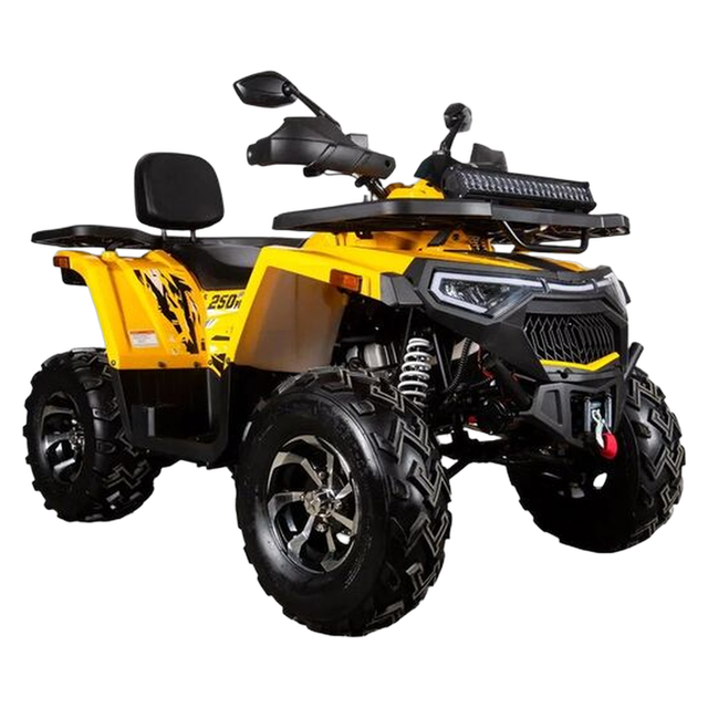 Комплект запчастей Avantis H250 BIG NEW Premium (баланс. вал) 