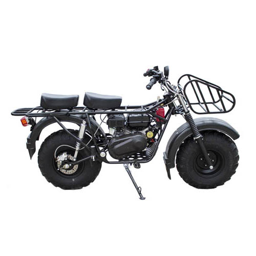Купить мотоцикл внедорожный QMC СКАУТ-4-8E CVT