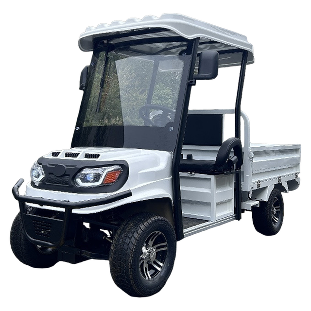 Гольфкар GreenCamel Сонора A2C 1500 (2+Cargo 1800W R10) пониженная