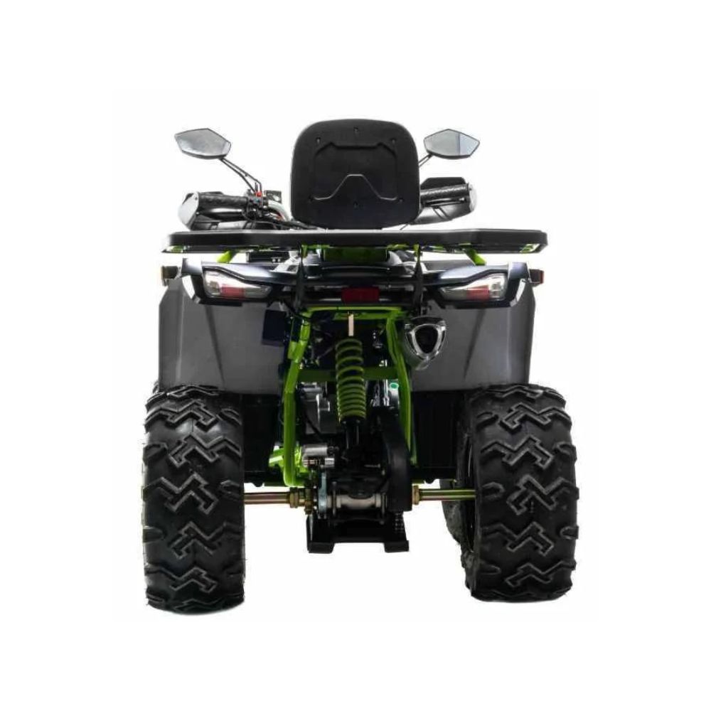Квадроцикл Motoland 200 WILD TRACK X WINCH (мотокомплект)