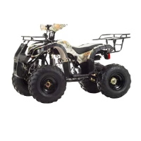 motoland-atv-fox-a-125