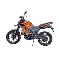 regulmoto-turjenduro-duke-300cc
