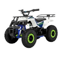 qmc-quad-eco-marsik-36v-1000w